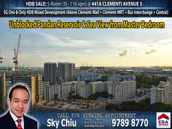 Blk 441A Clementi Avenue 3 (Clementi), HDB 5 Rooms #153551842